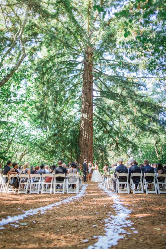 romantic-wedding-under-the-trees