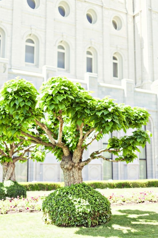 diy-your-wedding-in-a-field