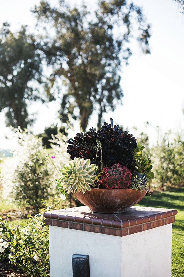 cost-cutting-dessert-table-idea