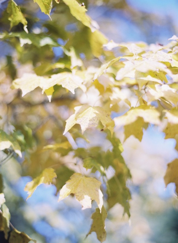 whimsical-natural-virginia-wedding