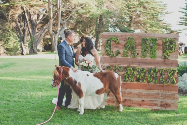 big-sur-sanctuary-wedding