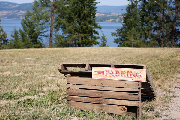 classy-and-eclectic-canadian-wedding