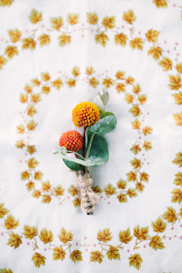 picnic-wedding-for-two