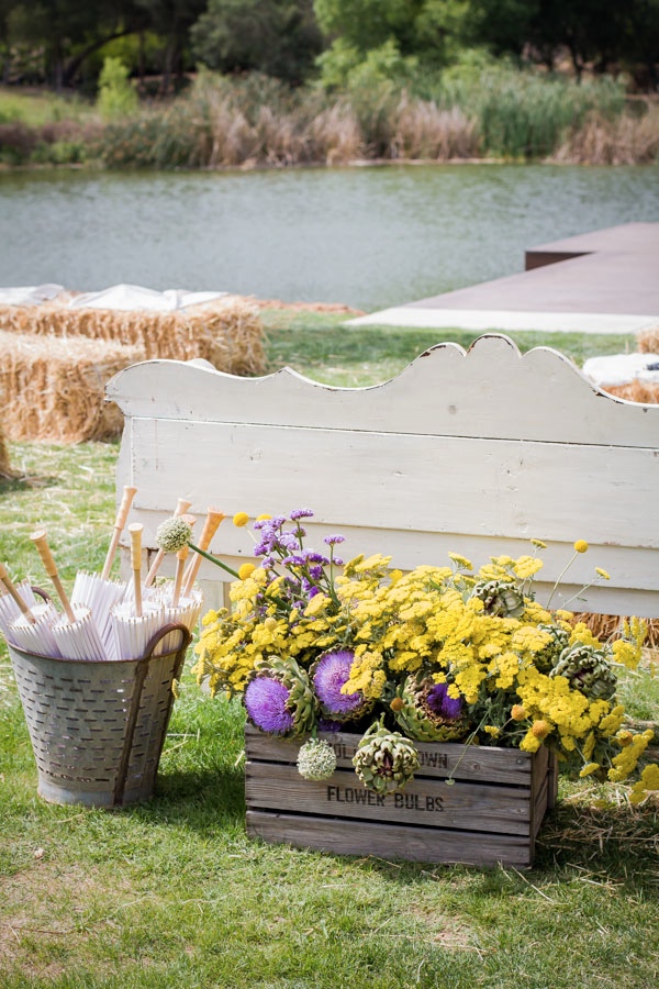 private-island-wedding-in-california