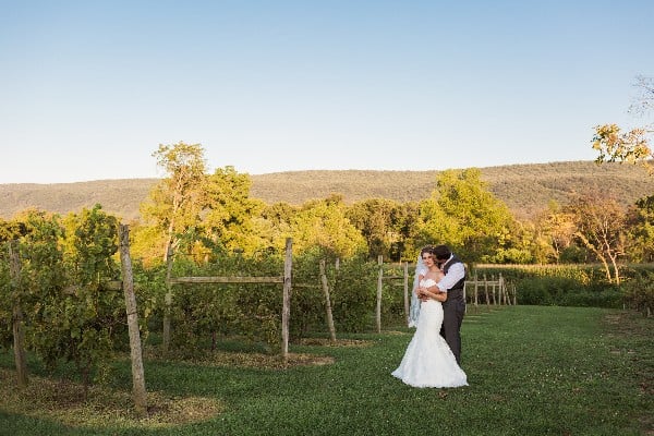 pennsylvania-romantic-pink-and-gold