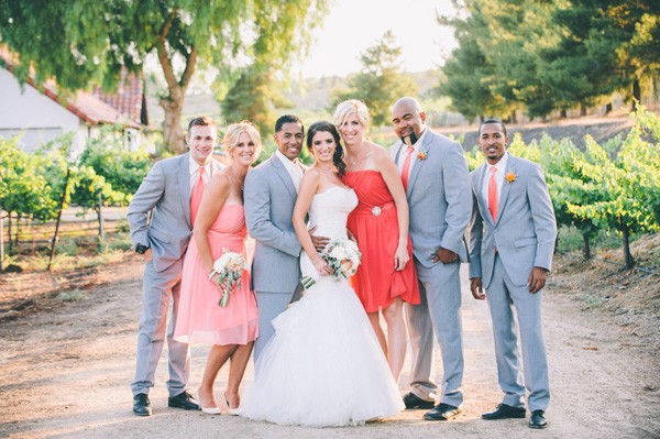 pink-and-grey-vineyard-wedding-under-15k