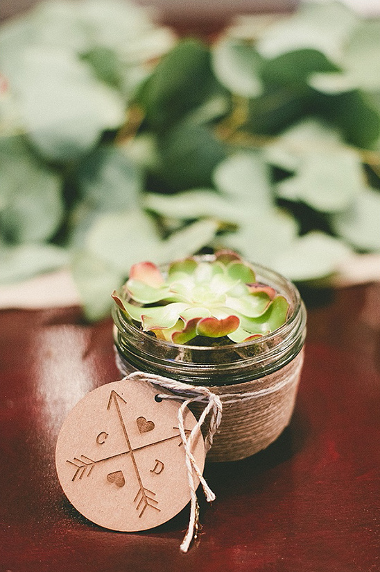 succulent wedding favors