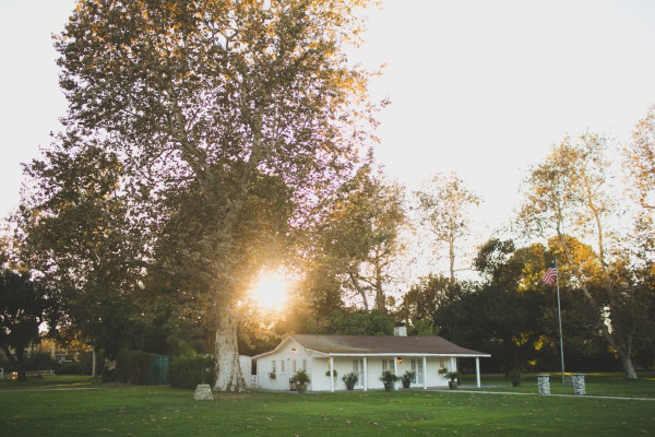 peach-and-green-garden-wedding