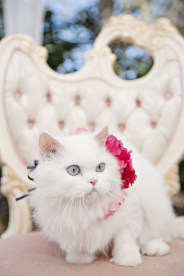 pink-and-gold-athens-wedding