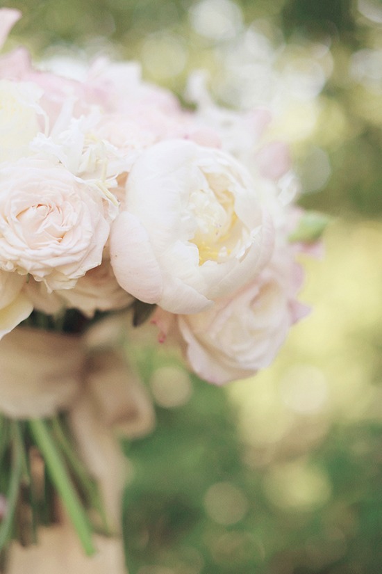 glamorous-garden-rose-wedding