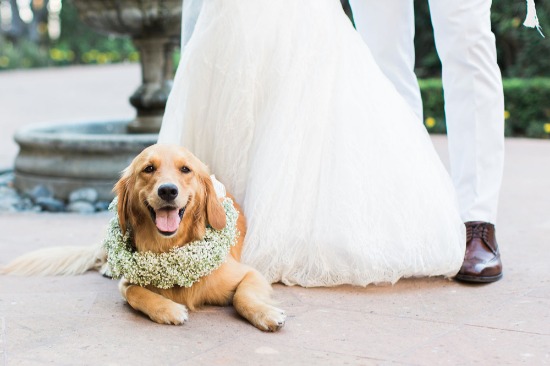 glam-beach-chic-wedding-in-california