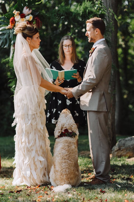 wedding photography wedding dog @weddingchicks