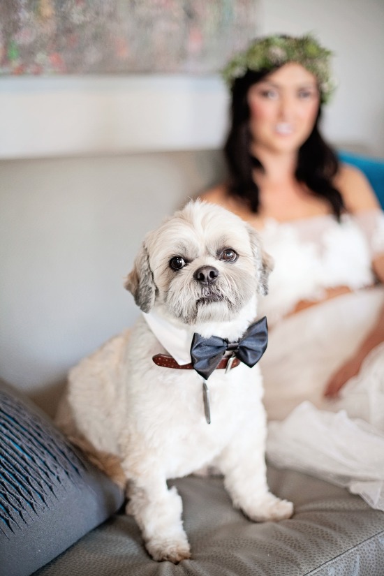 green-and-white-chic-boho-wedding