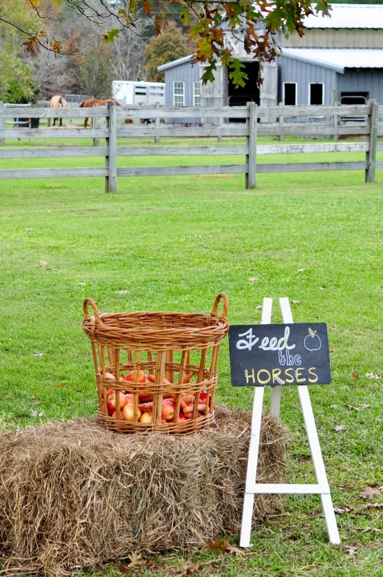 rustic-vintage-red-barn-wedding