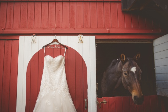 elegant-fall-vineyard-wedding