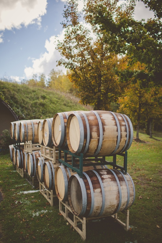 elegant-fall-vineyard-wedding