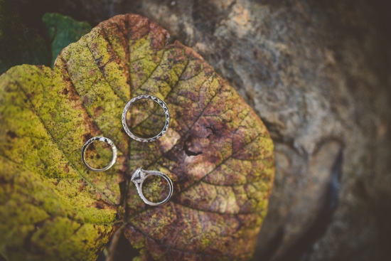 elegant-fall-vineyard-wedding