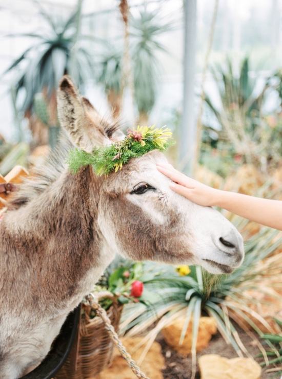 have-a-fiesta-wedding-anywhere