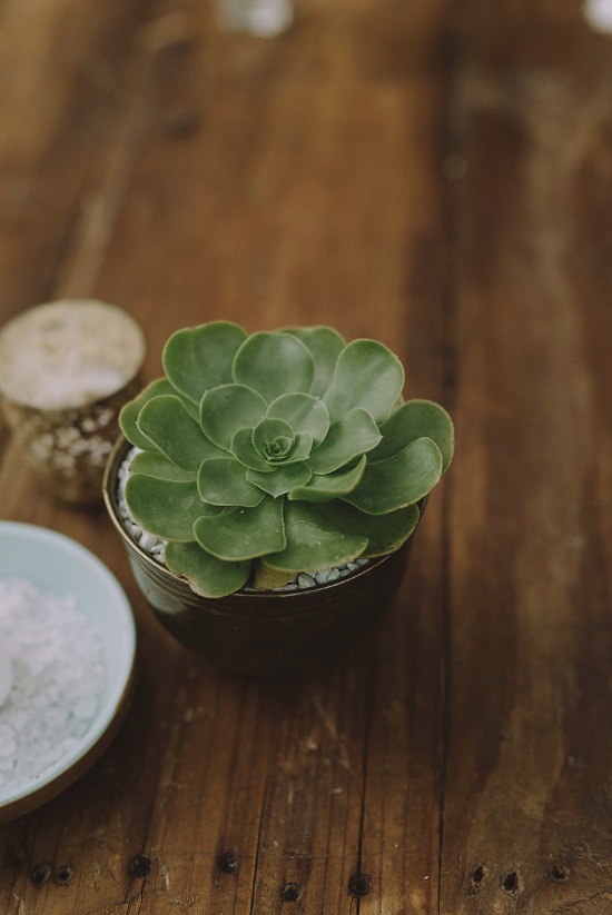 desert-chic-texas-wedding