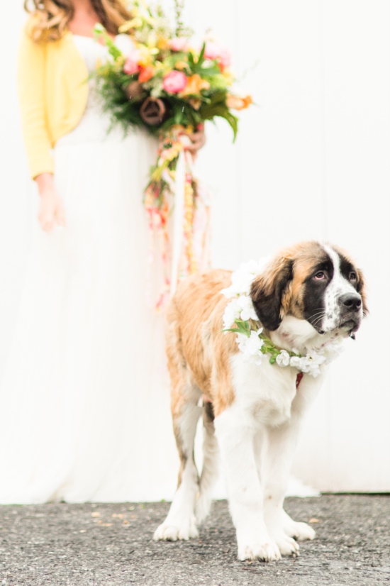 farm-to-table-hipster-wedding