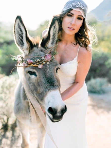 I Dream Of Arizona Wedding Inspiration