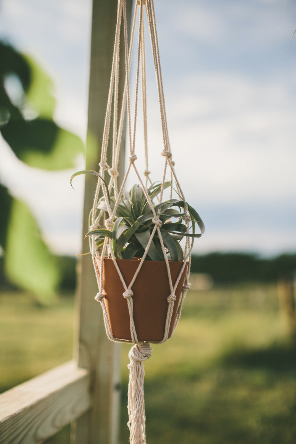 macrame plant hanging decor