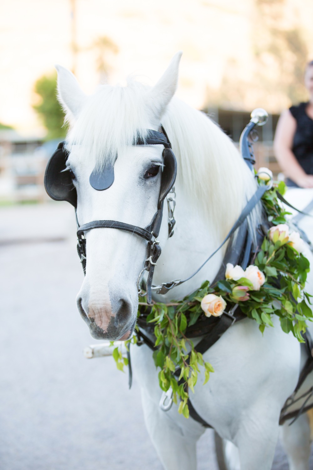 wedding-submission-from-when-pigs-fly