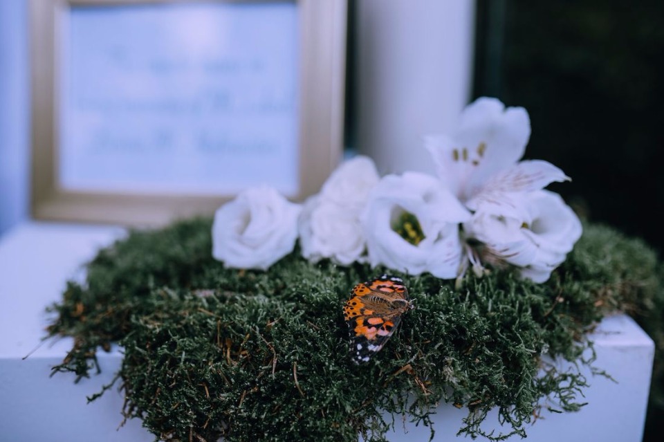 Butterfly release