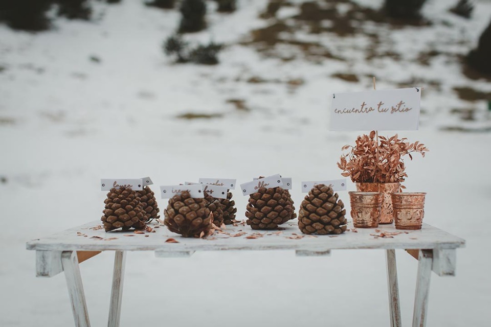 Pine cone escort card holders