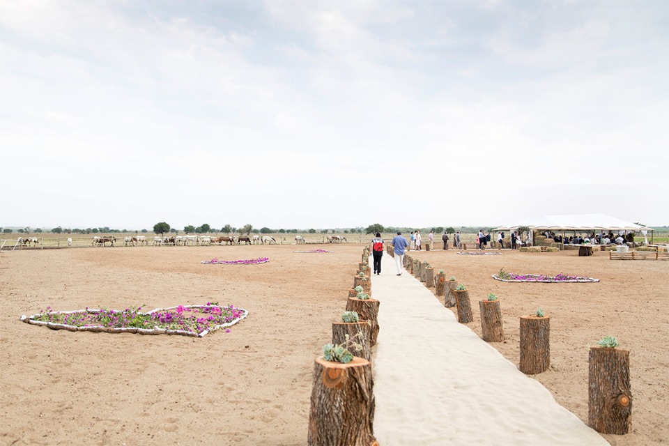 stump lined walk way to the wedding ceremony