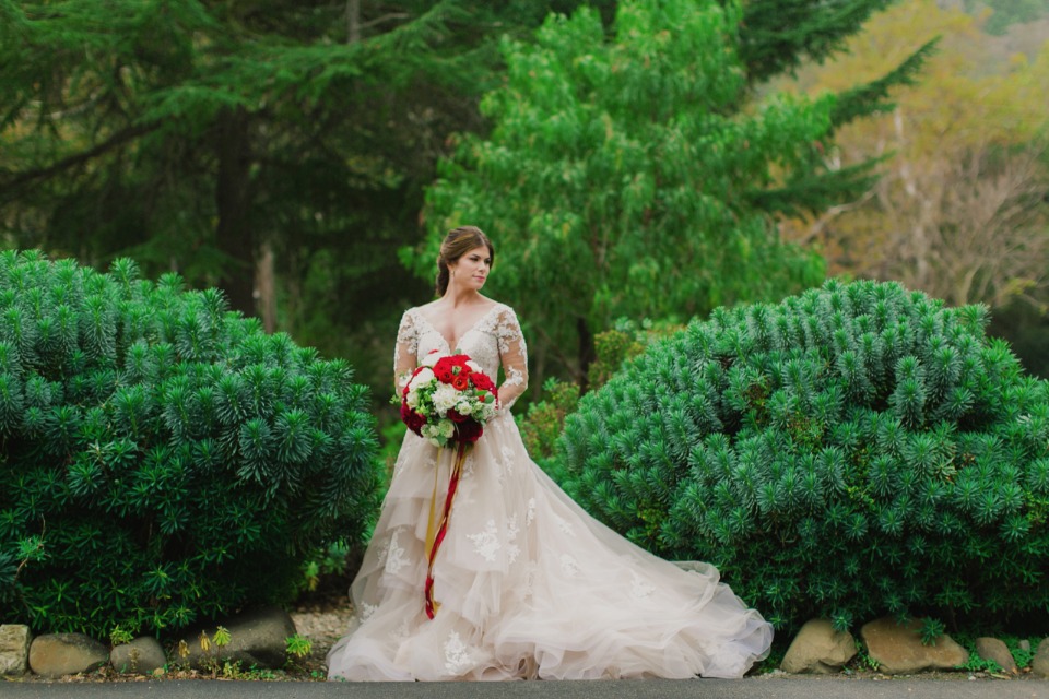 The train of this dress looks like a cloud