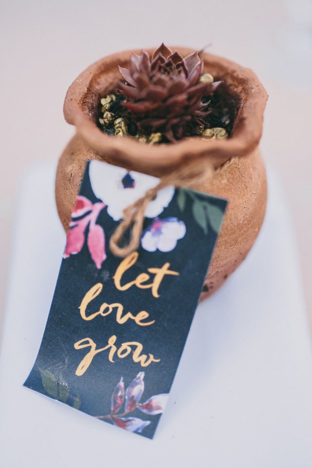 Potted succulent wedding favor