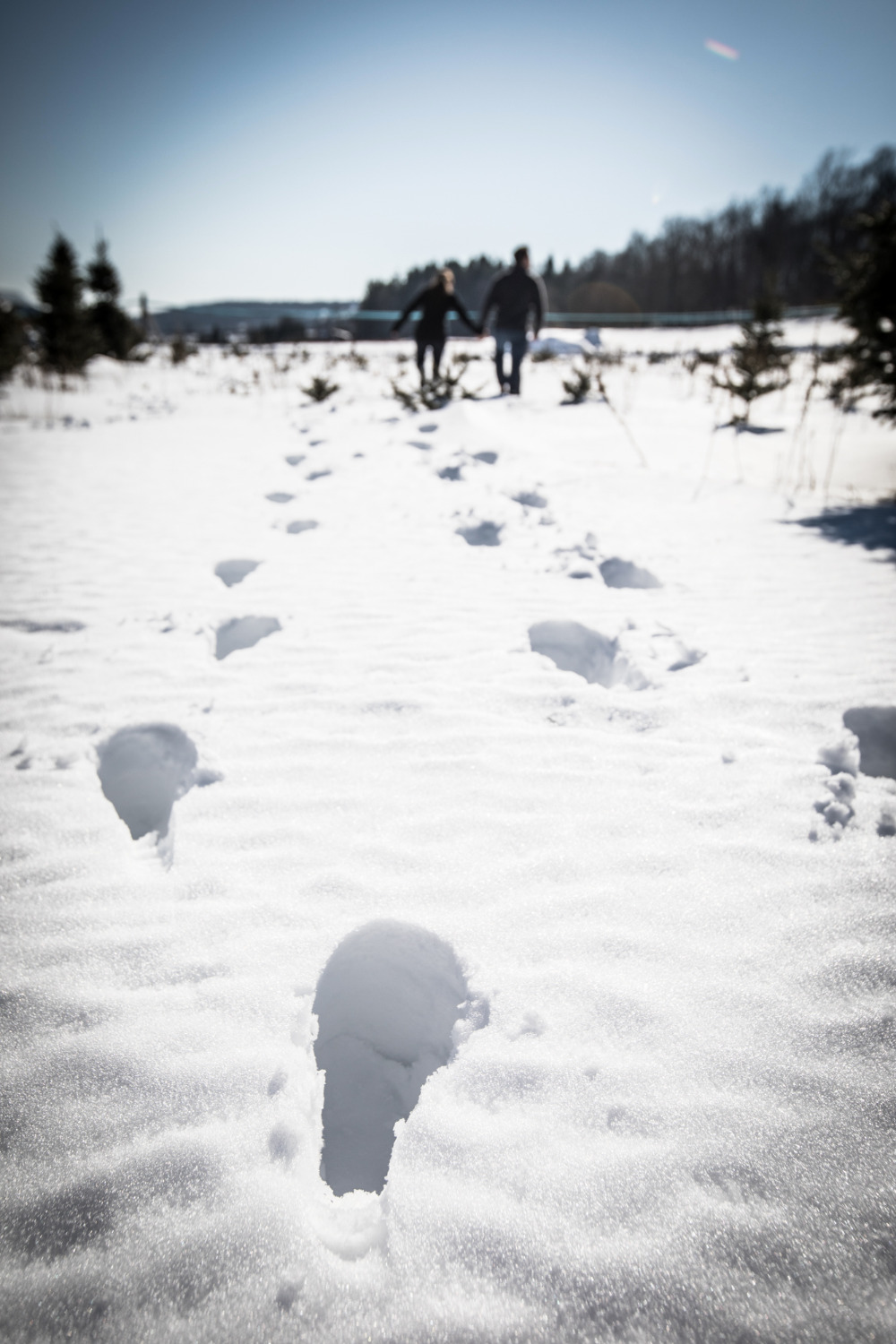 walking-in-a-winter-wonderland-with-a