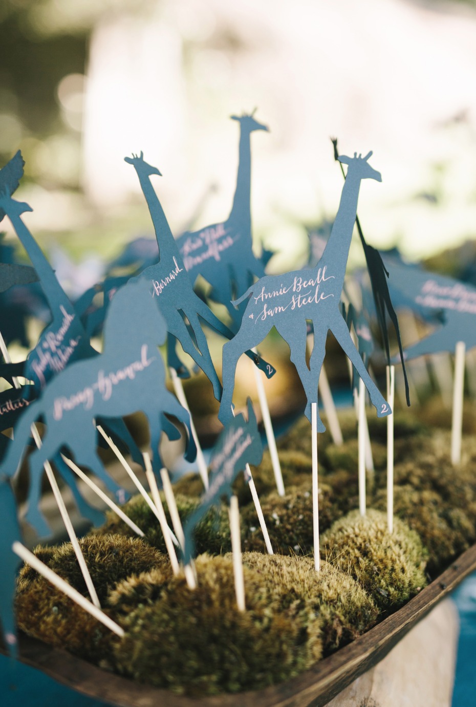 exotic animal wedding escort cards