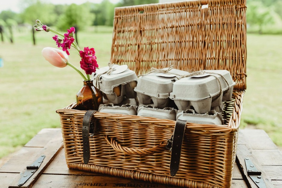 farm fresh eggs favors