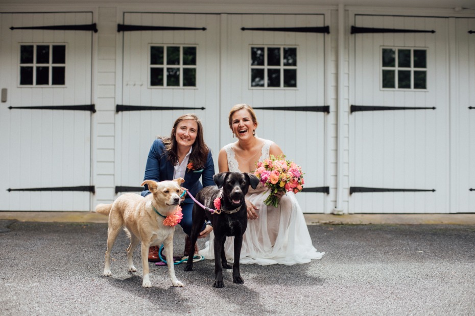 wedding dogs