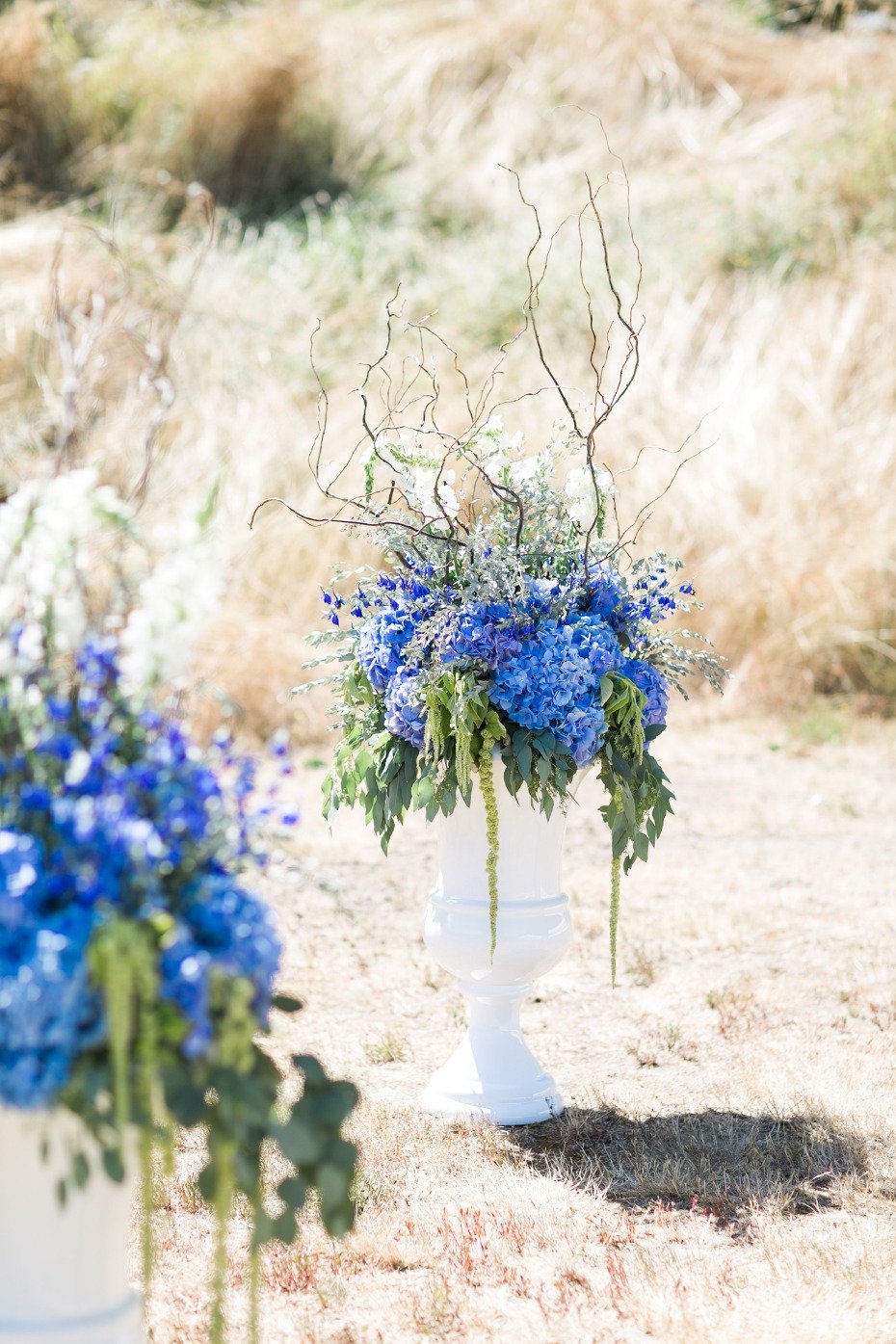 Blue hydrangeas