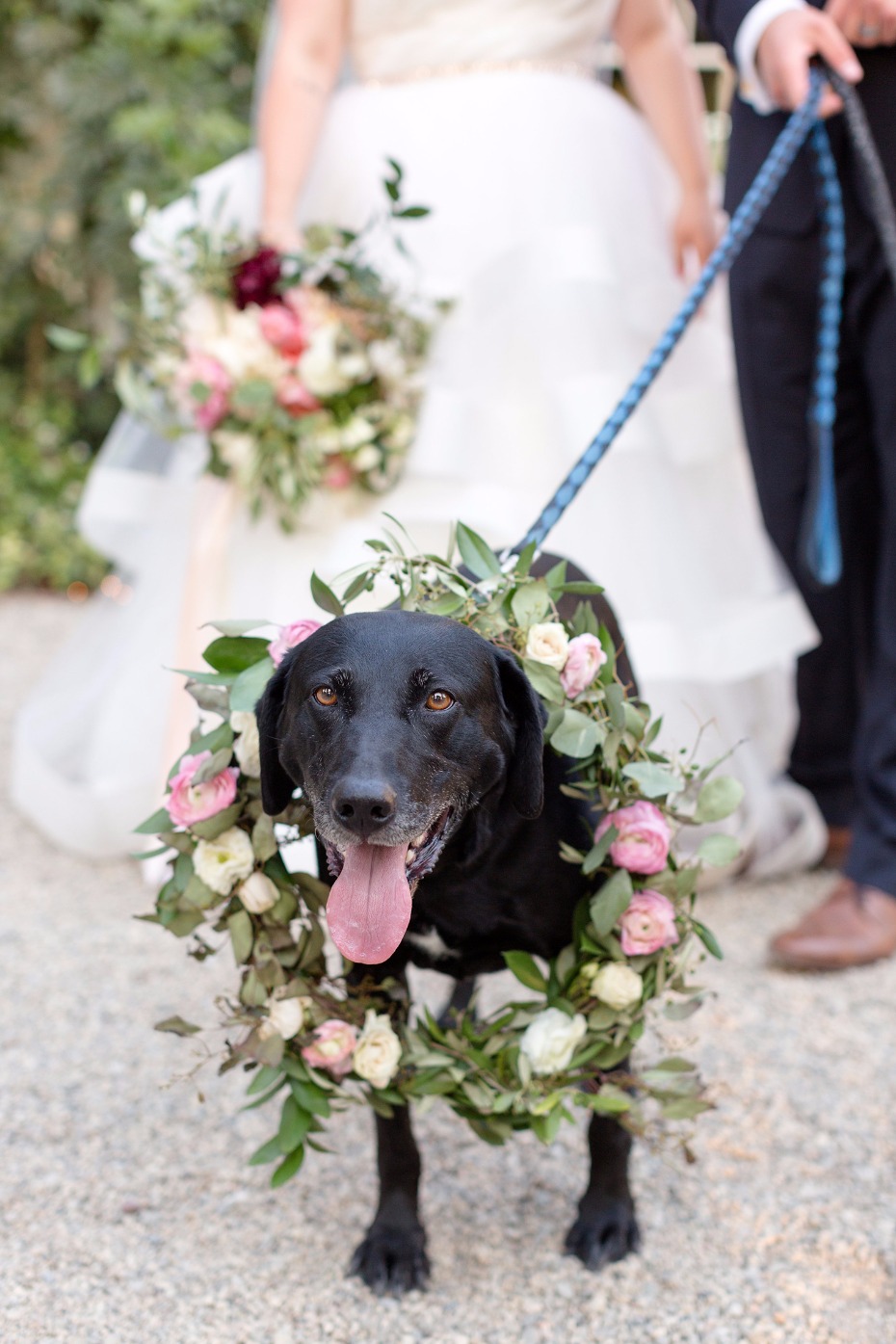 Wedding pup with wreath