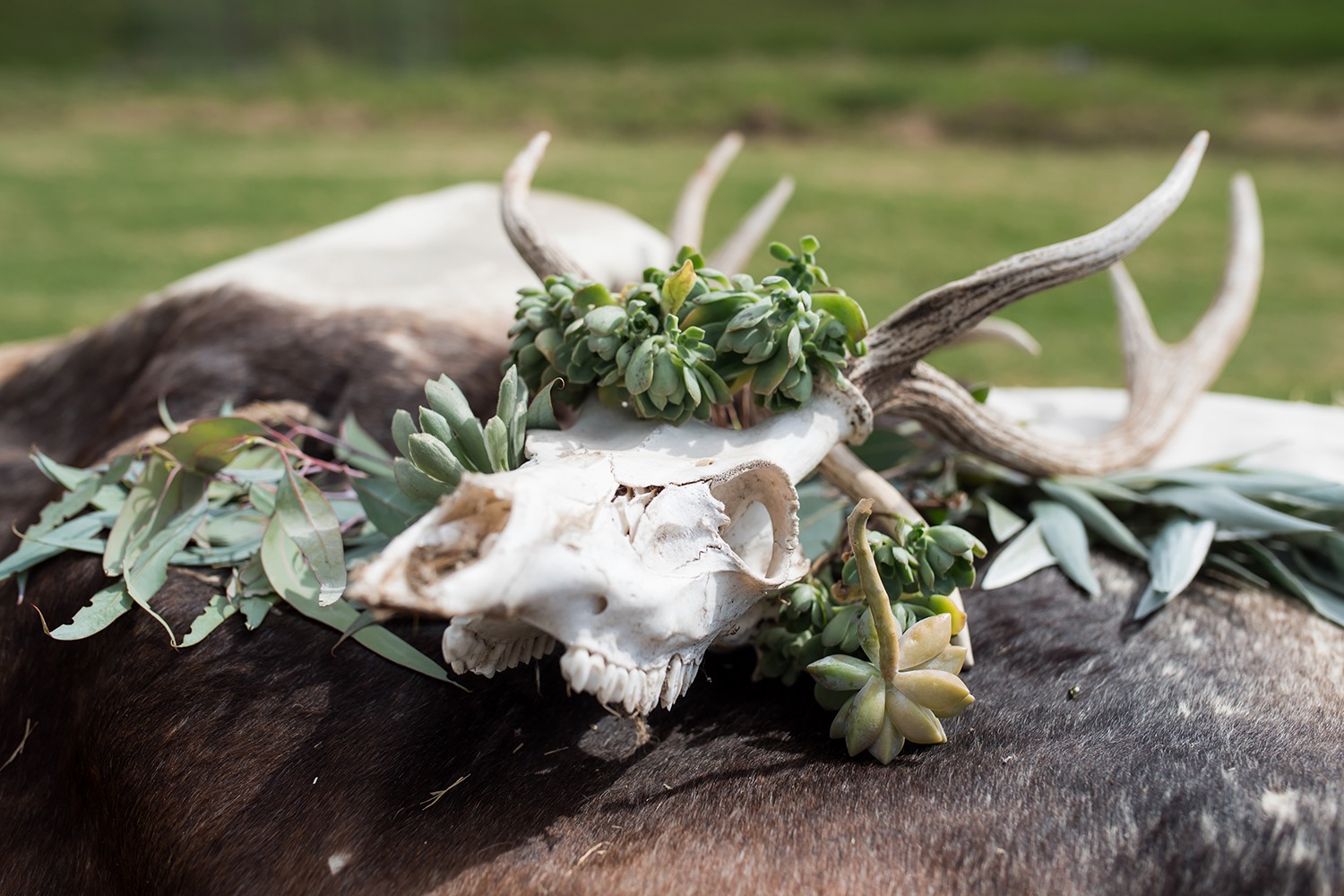 a-rustic-family-ranch-wedding-on-the