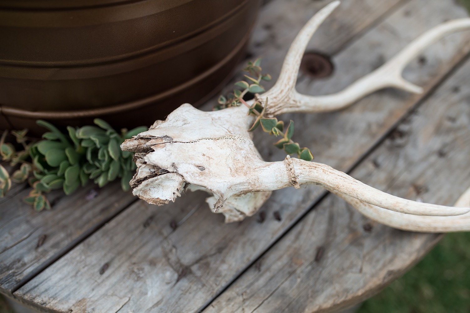 a-rustic-family-ranch-wedding-on-the