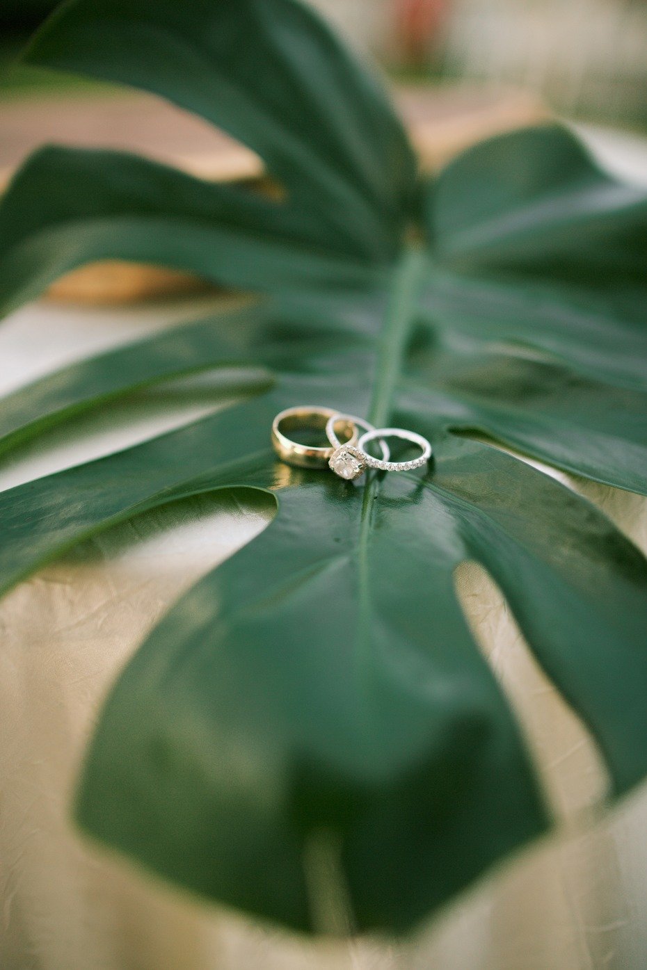 wedding rings