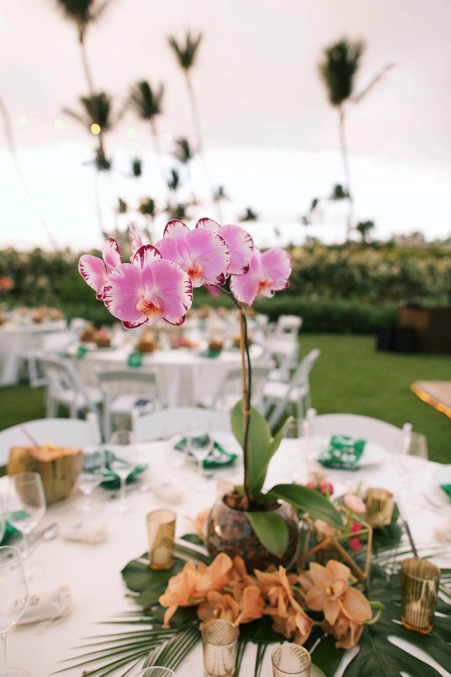 orchid wedding centerpiece