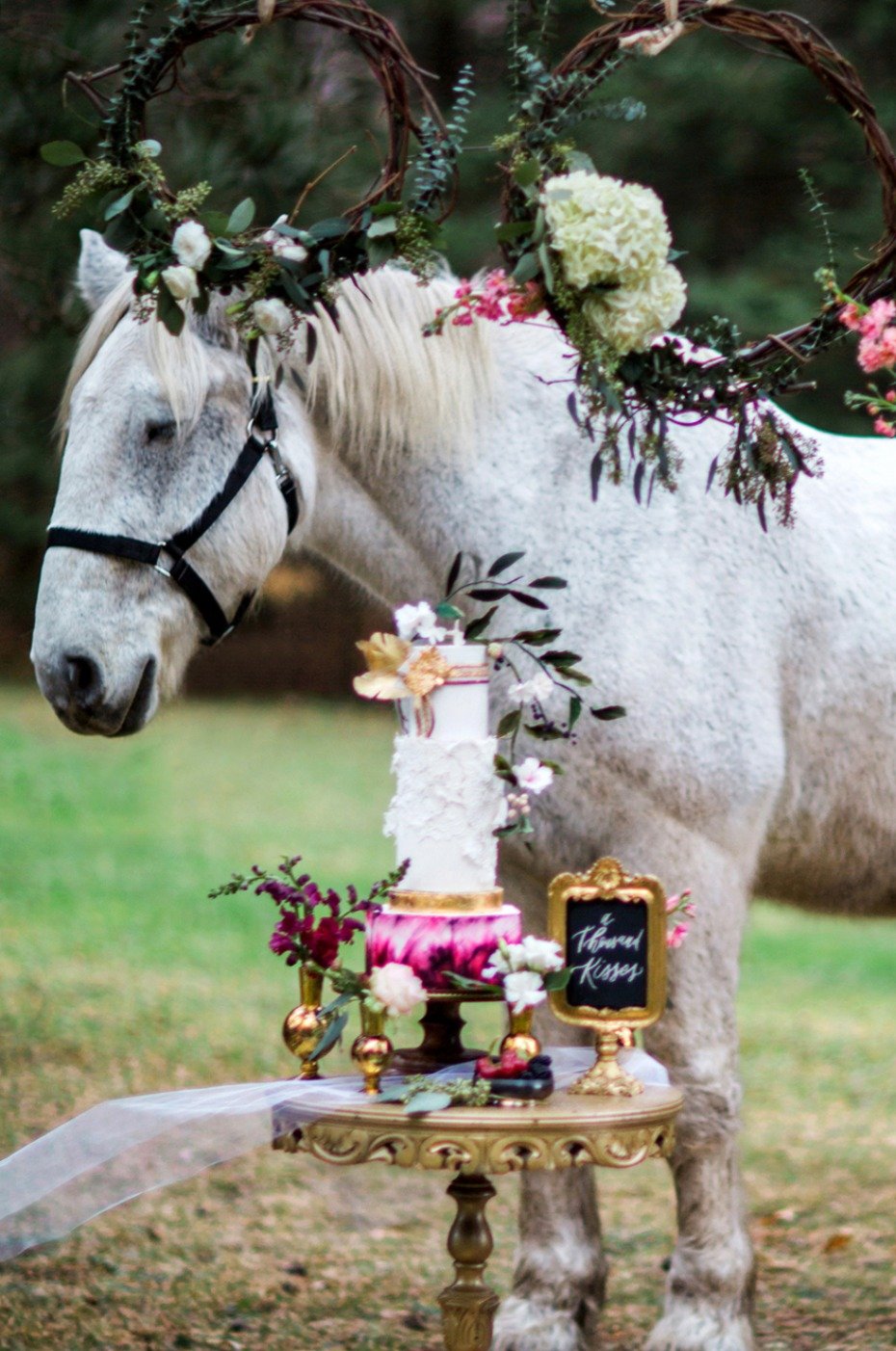 wedding horse and wedding cake