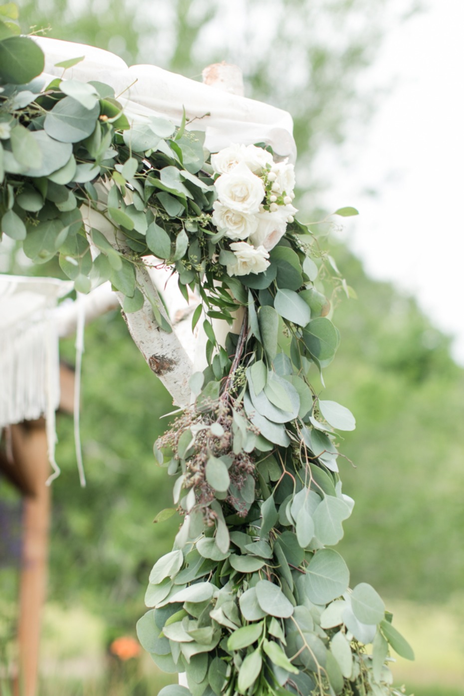 Eucalyptus and white flowers