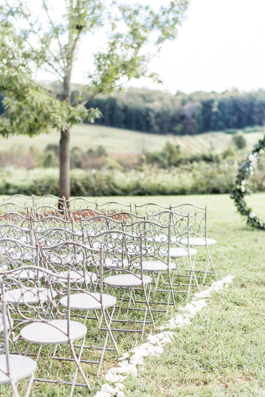 4-alex-taylor-market-at-grelen-virginia-wedding-ph