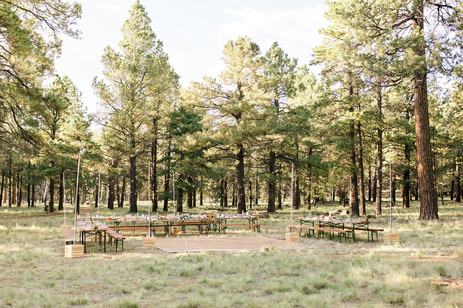 Arizona pines wedding