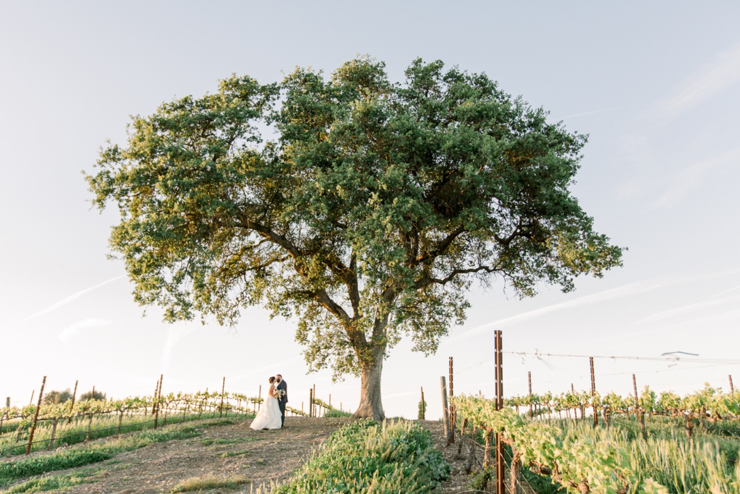 wedding-submission-from-carlie-statsky