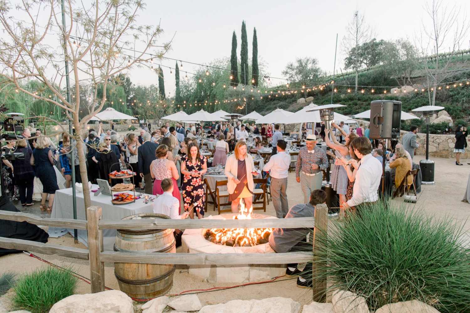 wedding at Terra Mia Vineyards