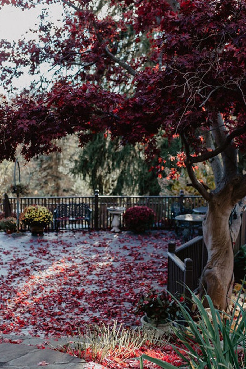 Cozy And Unique Late Fall Wedding