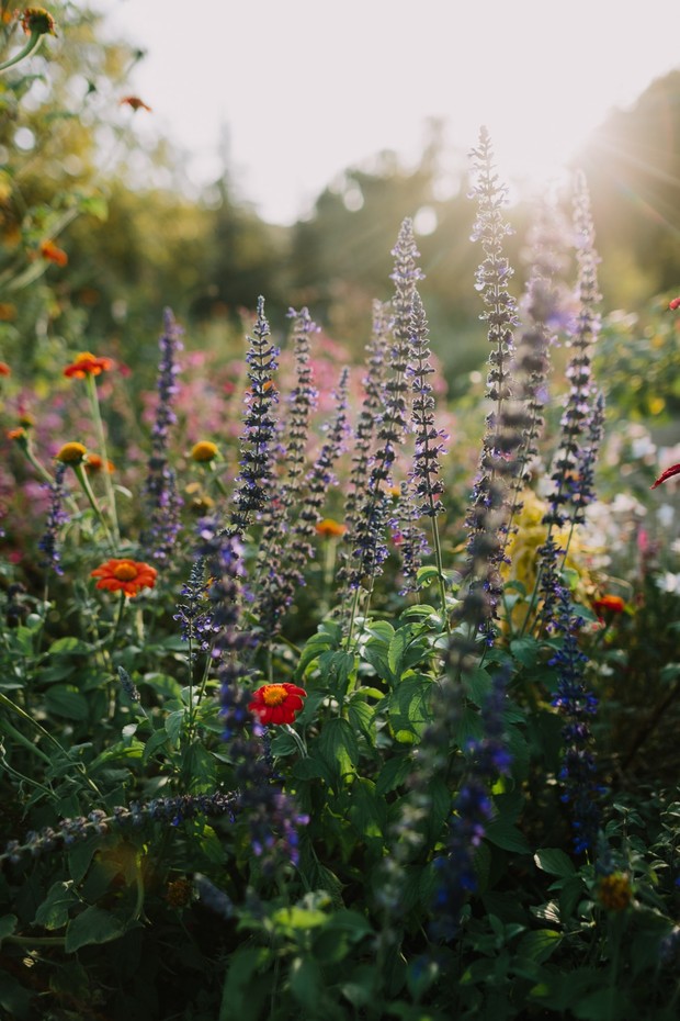 live flowers in a garden wedding